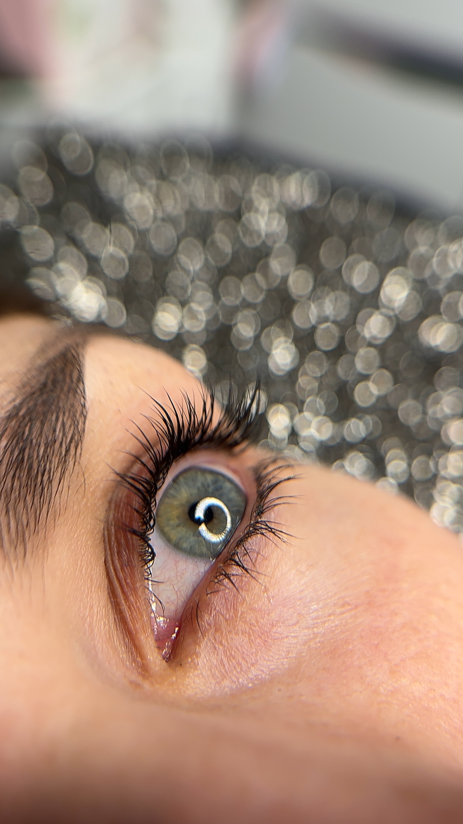 Wimpern
